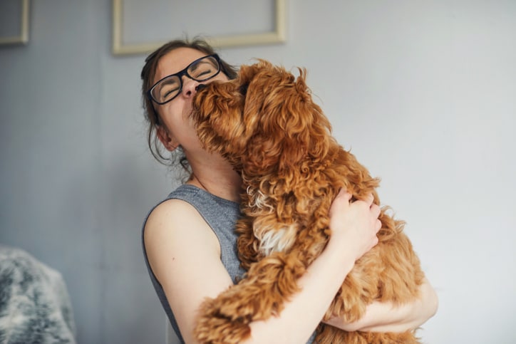 Pet Sitters and The Pets: How to Build a Bond