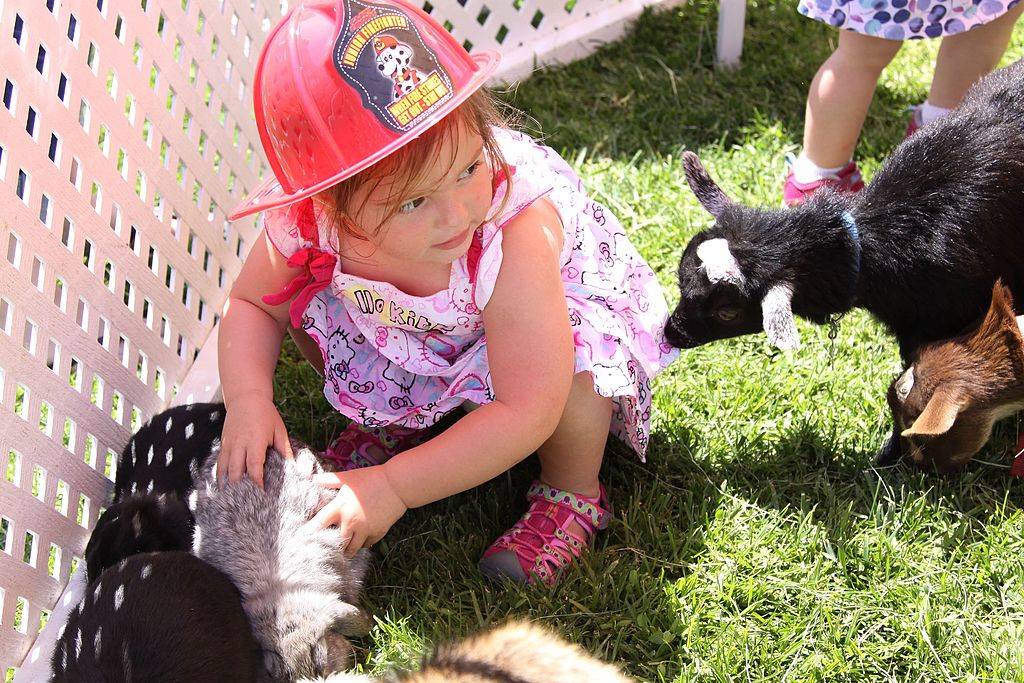 The 5 Best Petting Zoos Around Miami