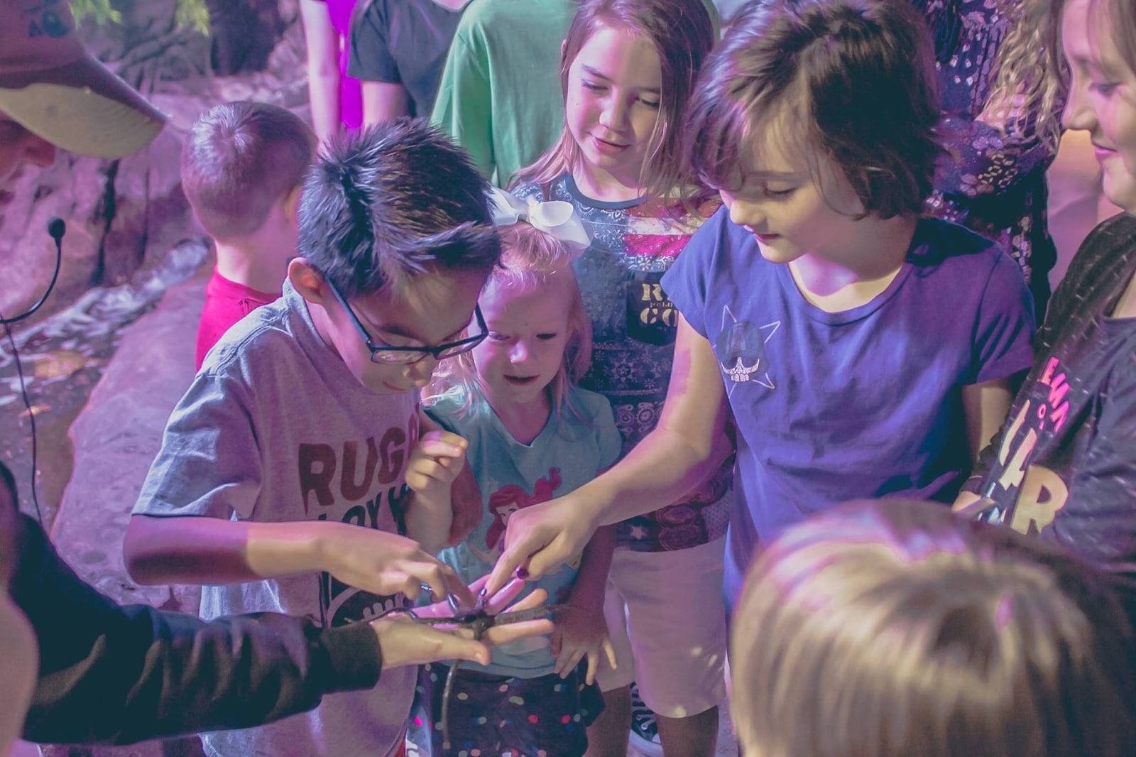 The 10 Best Places for Kids’ Birthday Parties Around Austin