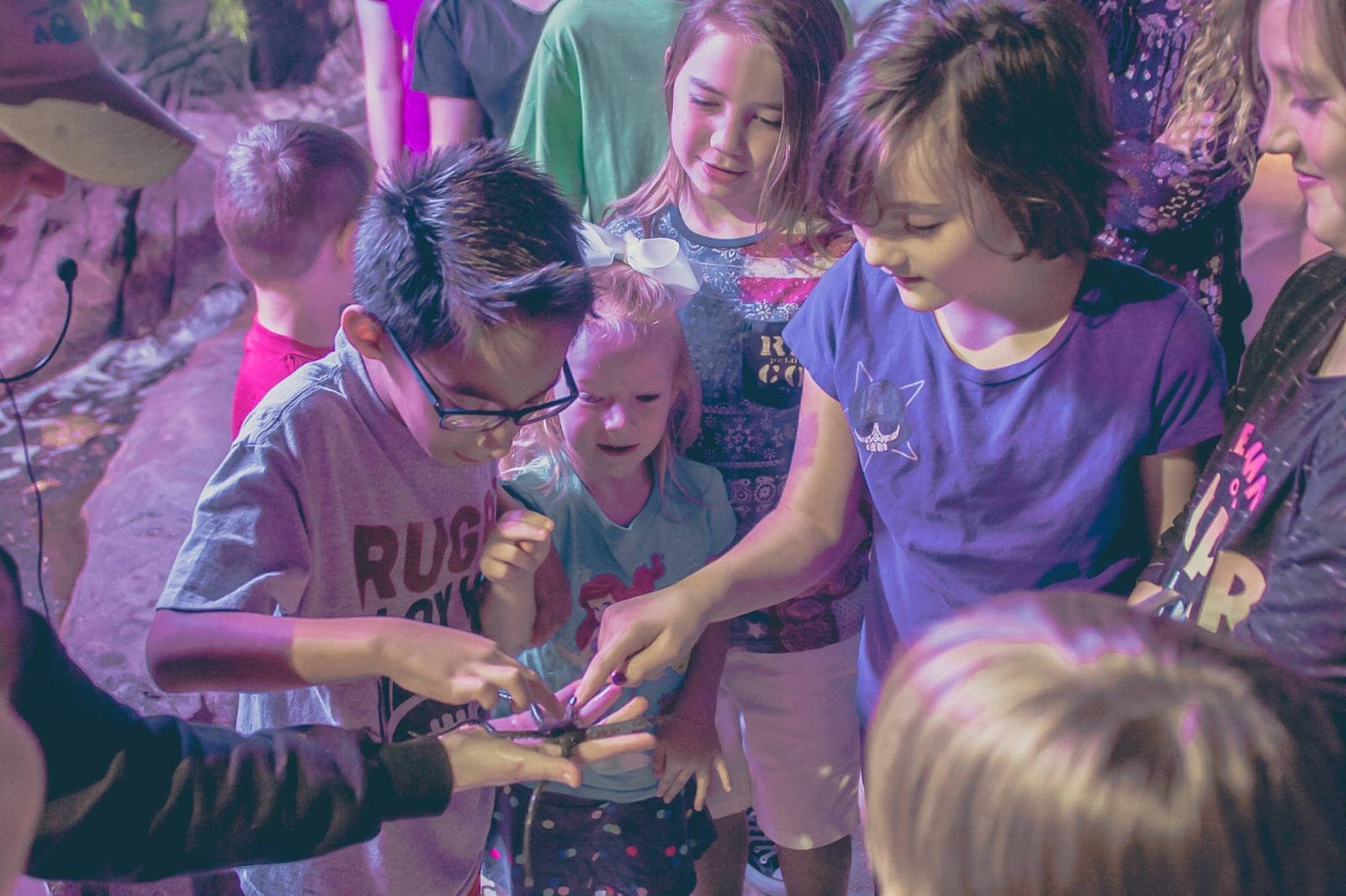 Kids Birthday Parties Around Austin