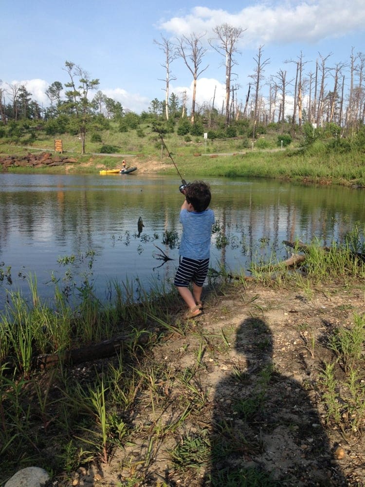 The 10 Best Kid-Friendly Fishing Spots in the Austin Area
