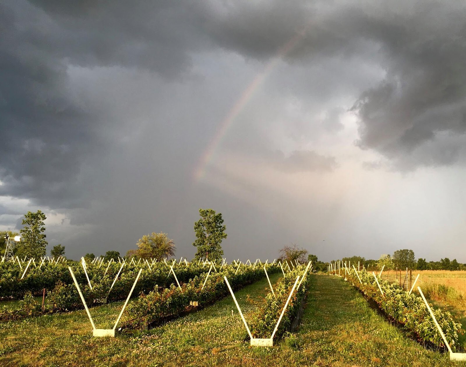 10 Scenic Cider Mills and Apple Orchards in Metro Detroit