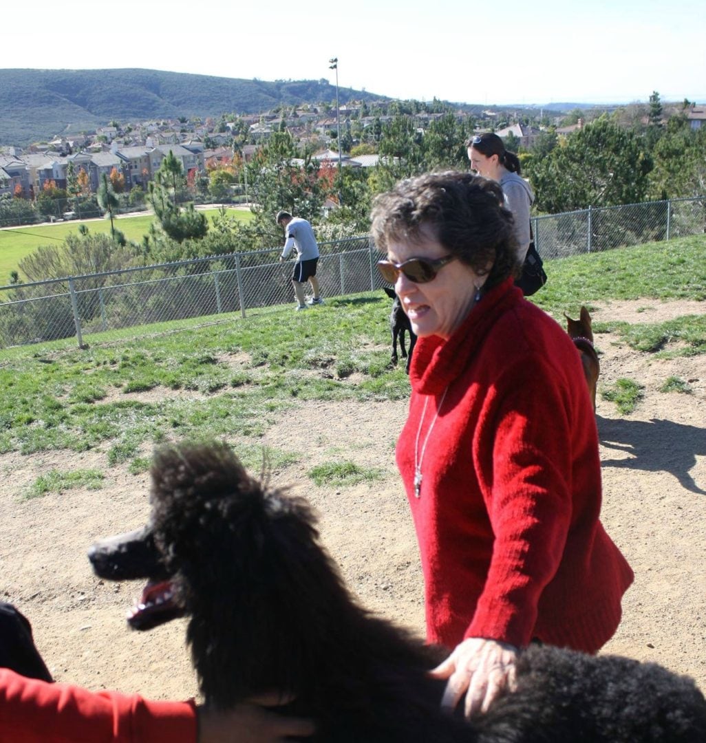 The 10 Best Dog Parks Around San Diego