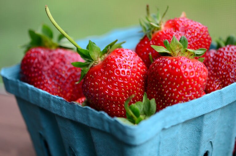 The 5 Best Places to Go Strawberry Picking in the Houston Area