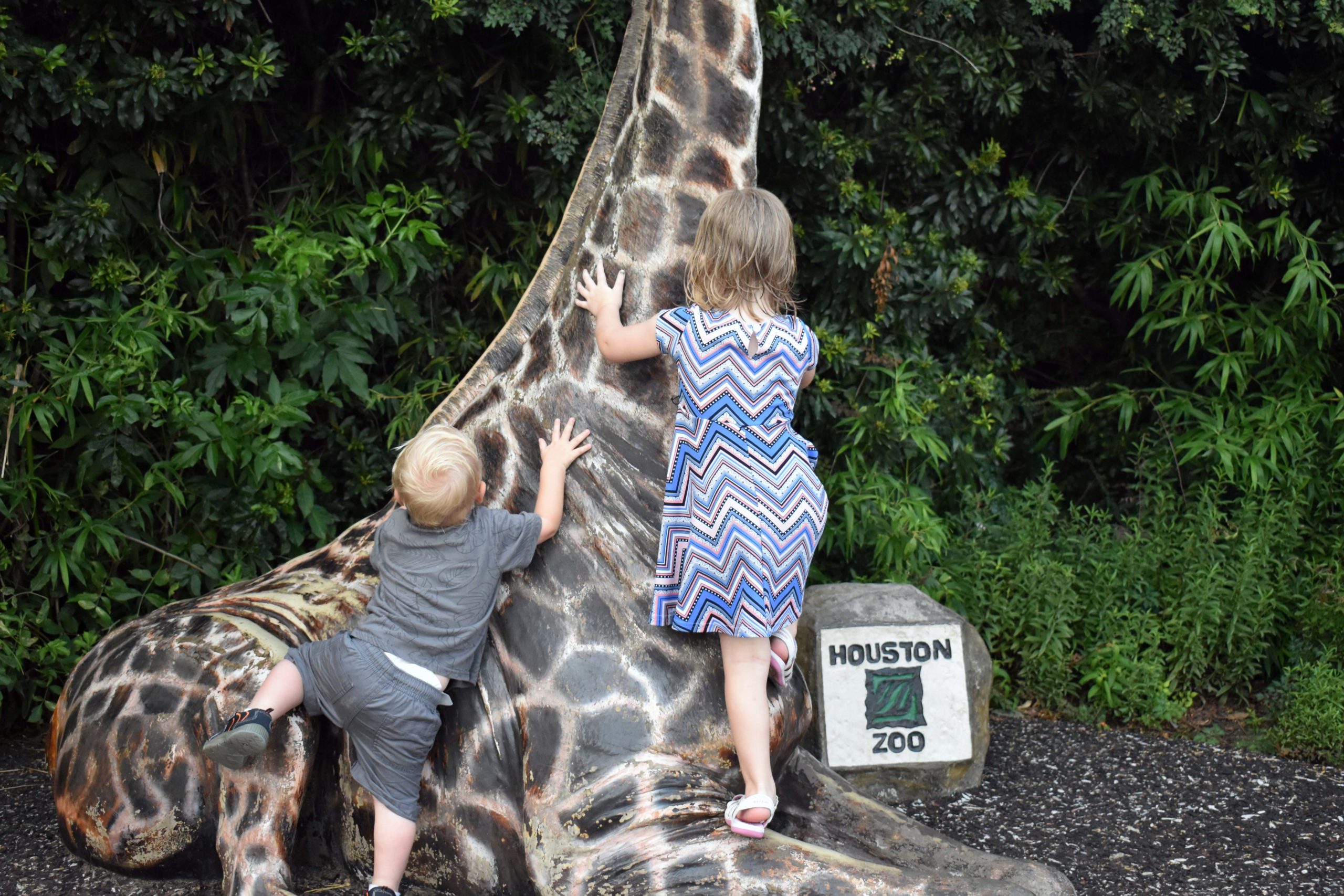 10 Family Memberships to Houston-Area Attractions That Are Totally Worth It