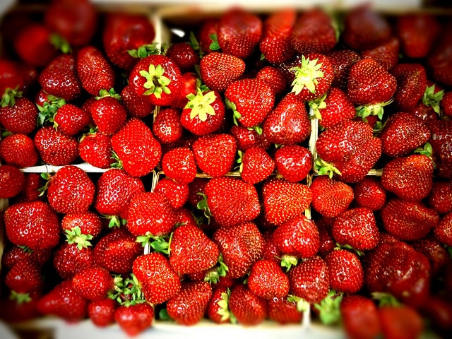 The 10 Best Places to Go Strawberry Picking Around Boston