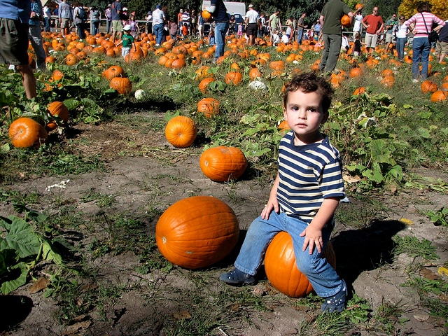 The 10 Best Family Fall Festivals Around Boston