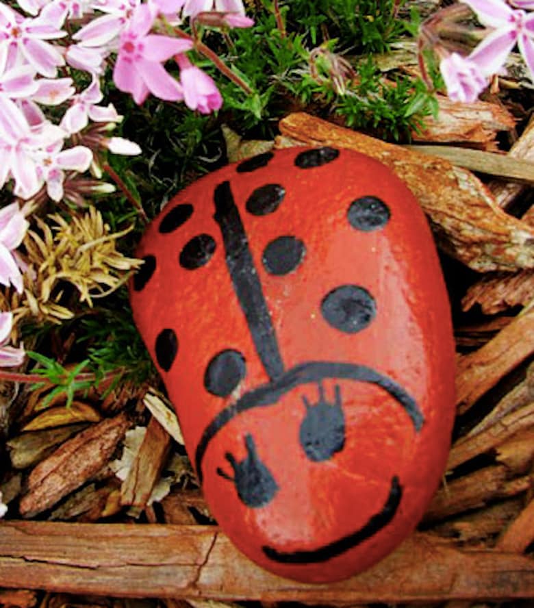 https://www.care.com/c/wp-content/uploads/sites/2/2021/06/Ladybug-garden-rocks.png