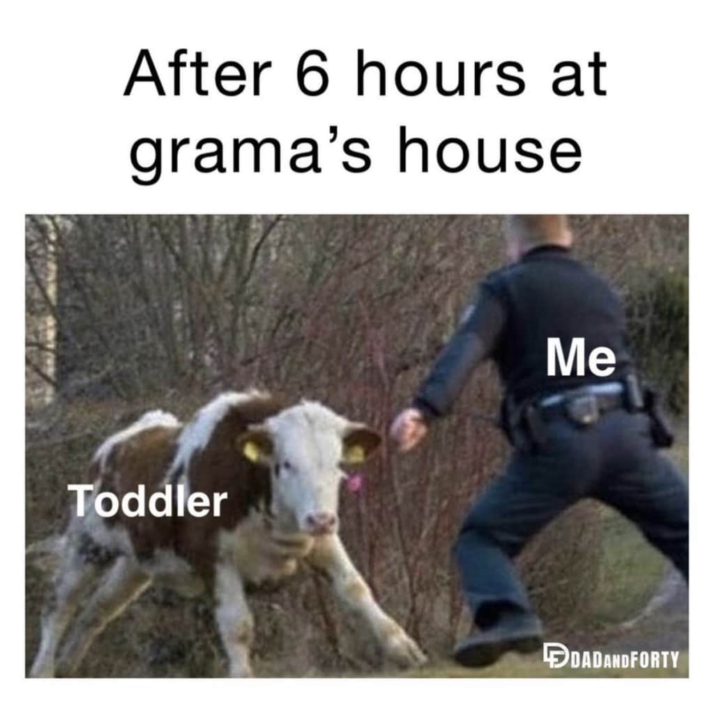 Dad Meme: After 6 hours at grama's house