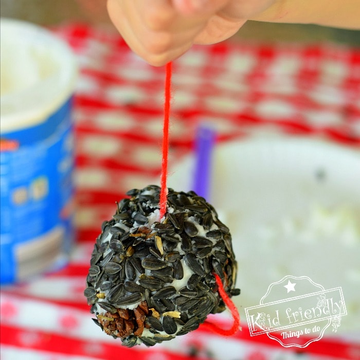 This pine cone bird feeder makes a cool nature crafts for kids.