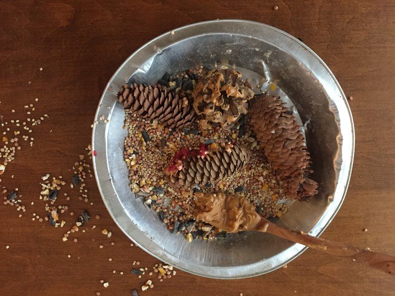 Making a DIY pine cone birdfeeder is a fun after-school craft for kids