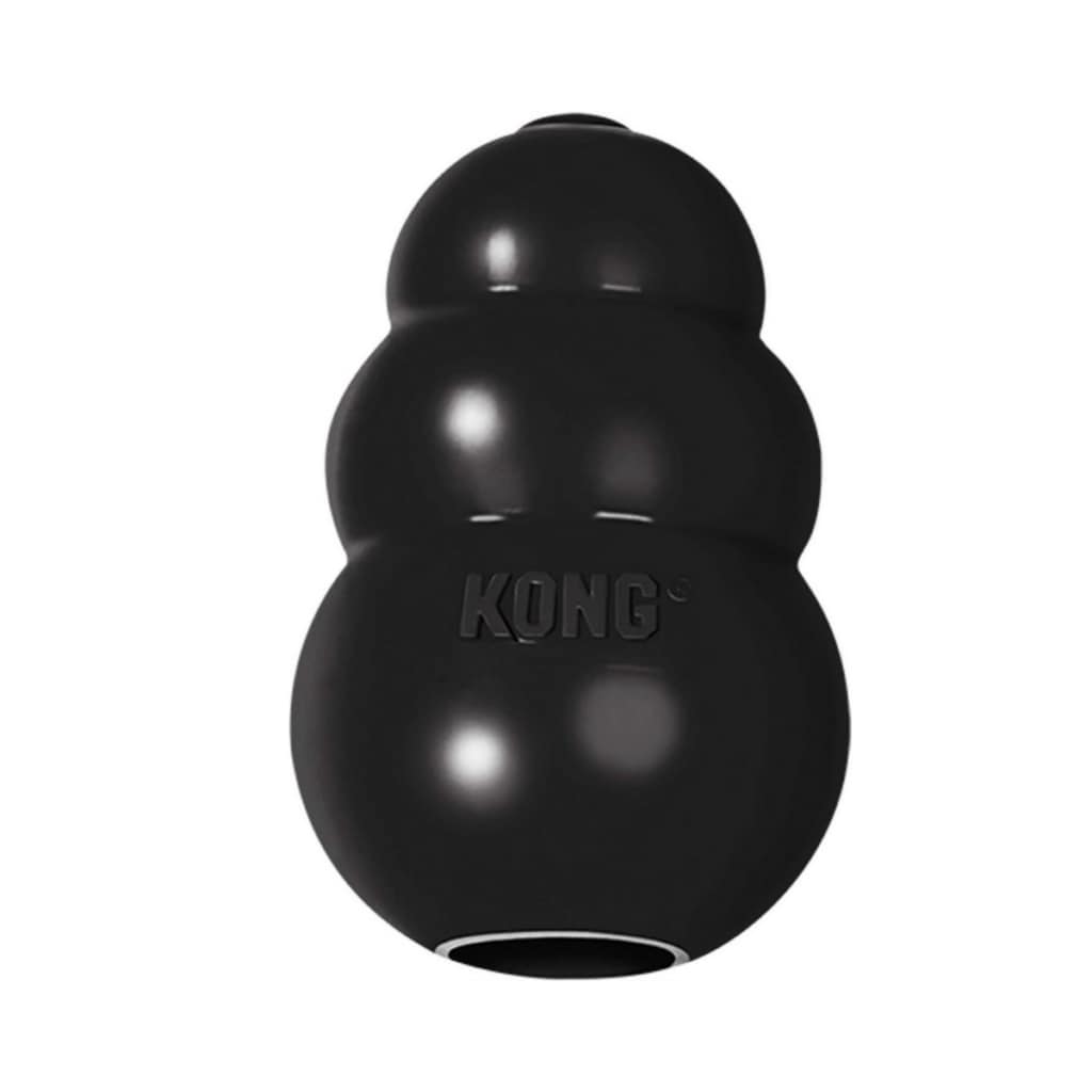 KONG Extreme Dog Toy