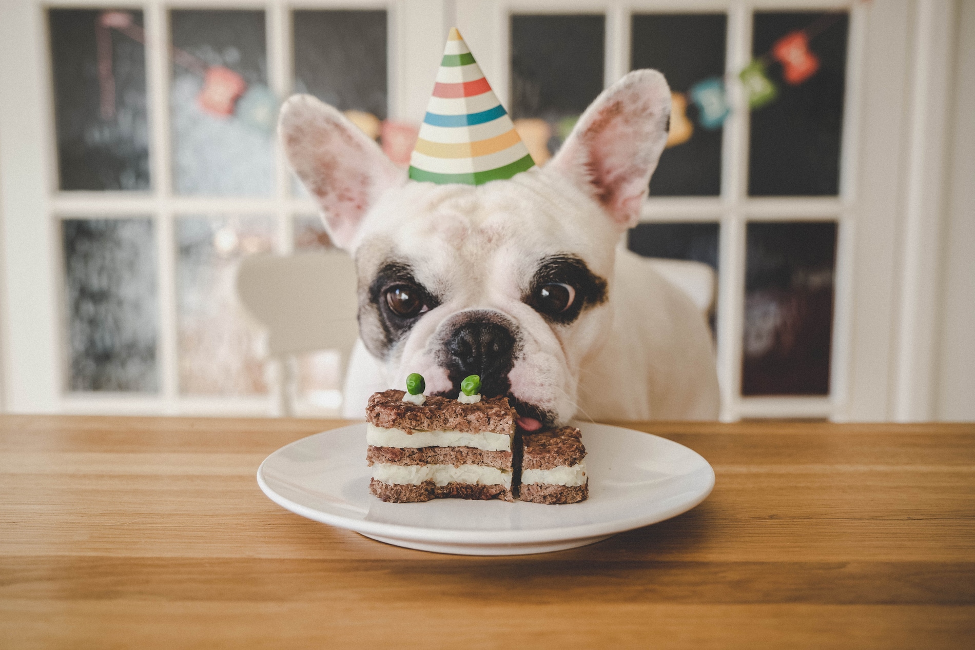 10 totally paw-some dog birthday party ideas