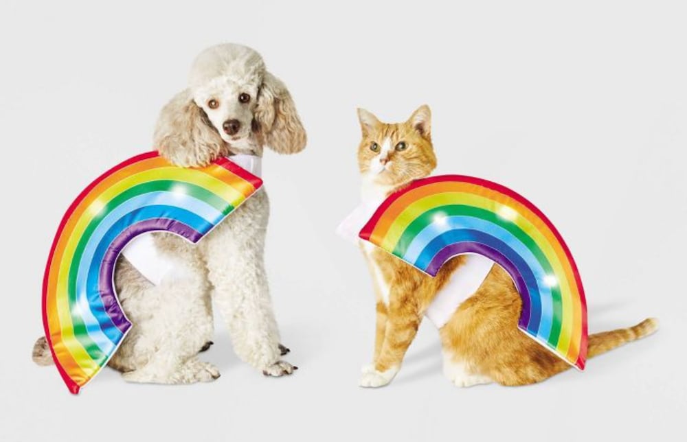 Rainbow costumes for pets this Halloween