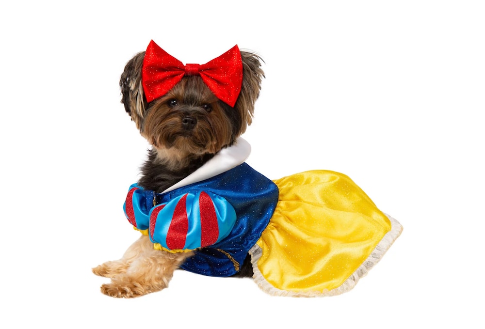 Snow White Pet Costume for Dog or Cat for Halloween