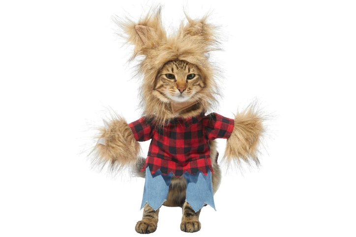 Werewolf pet costume for Halloween