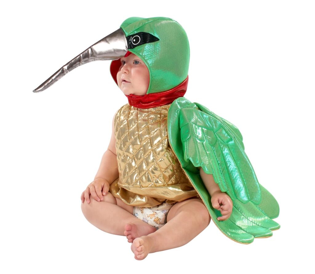 Hummingbird Infant Costume