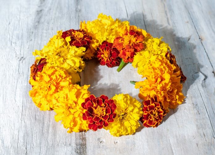 Collect or craft marigolds (cempasúchil)
