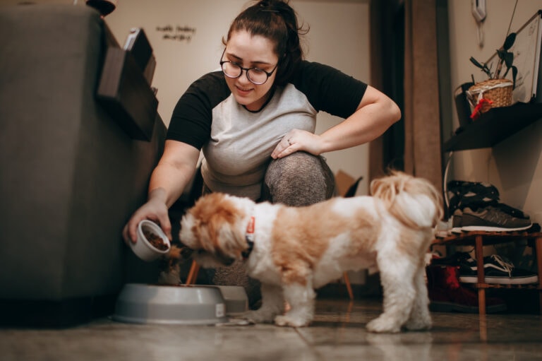 7 questions to ask a pet sitter during an interview