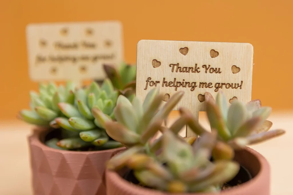 Teacher appreciation gifts - 12 unique ideas for $15 and under