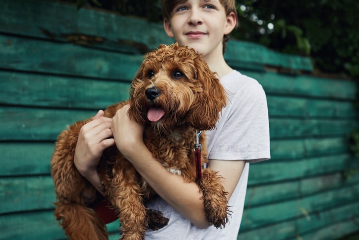 How old should you be to dog sit or pet sit