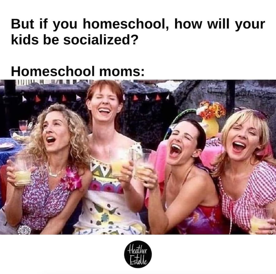 13 Homeschool Memes That Capture The Funniest Parts Of Learning At Home