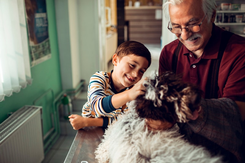 Looking out for the elderly during the winter months
