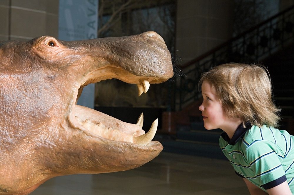 Best museums for kids in London