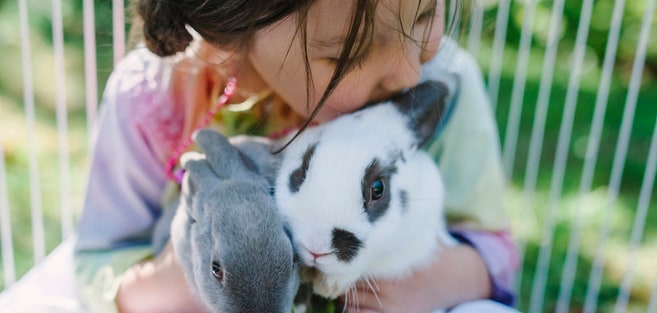 Best Pets for Kids at Every Age and Stage