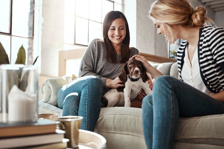 These are the top pet sitter interview questions, according to experts