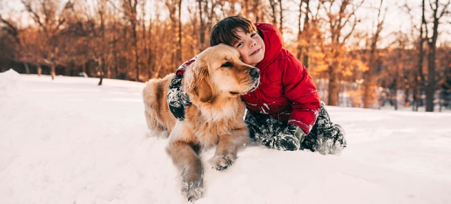 10 Ways to Keep Your Pet Safe in the Cold