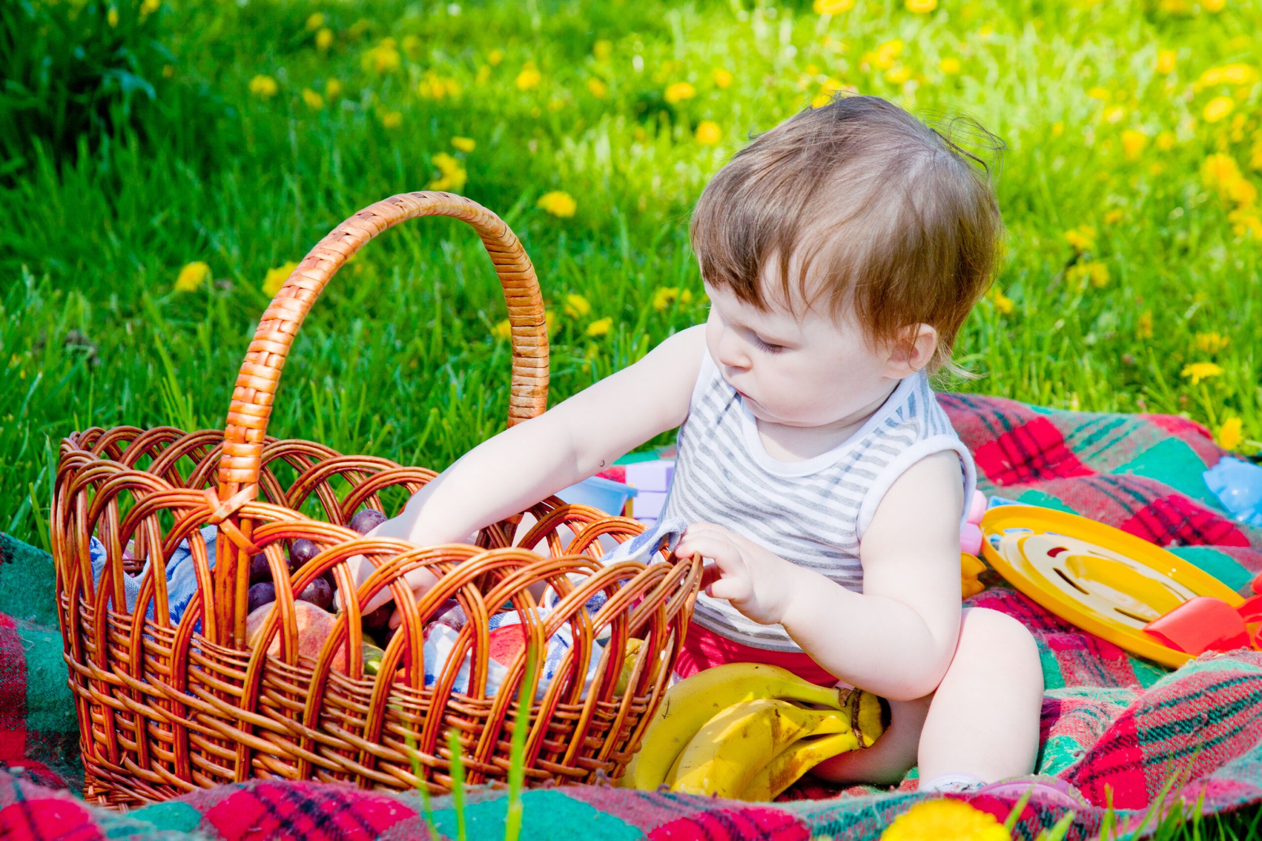 Feeding Tips For When Your Baby Won't Eat - Care.com Resources