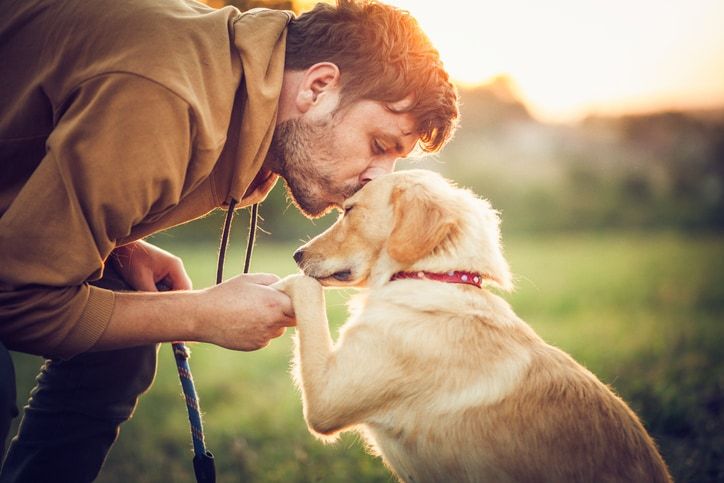 can a dog behaviorist potty train my dog