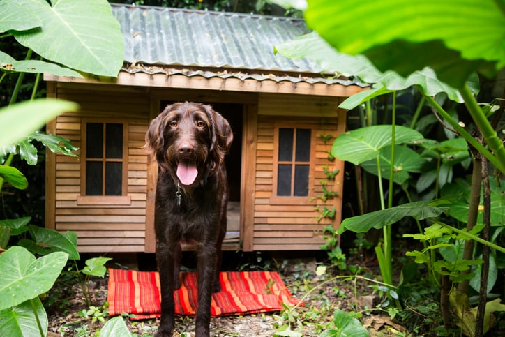20 free DIY dog house plans
