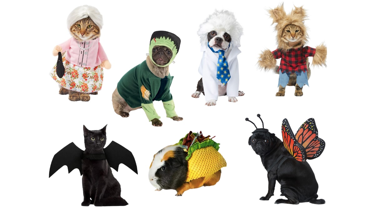 20 pet Halloween costumes that are full-stop glorious