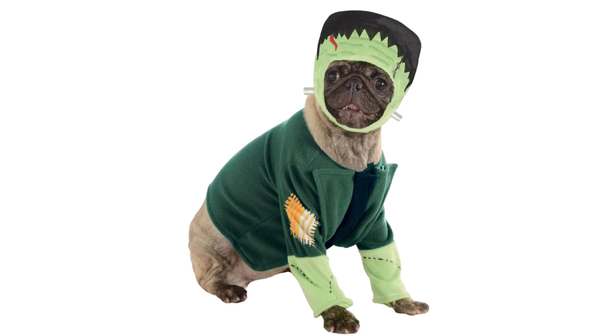 Pet Costumes for 2023