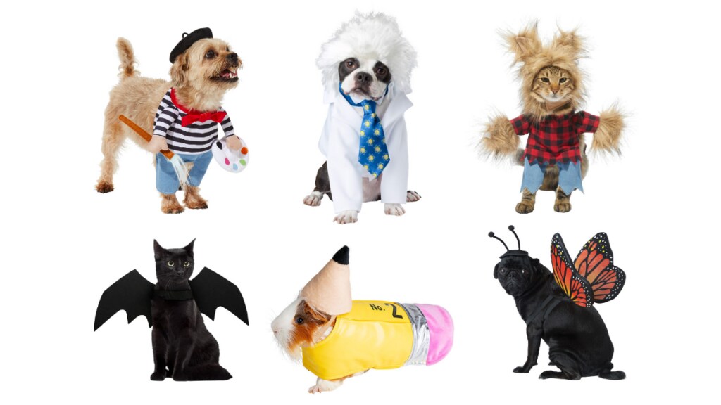 The 20 cutest pet Halloween costumes