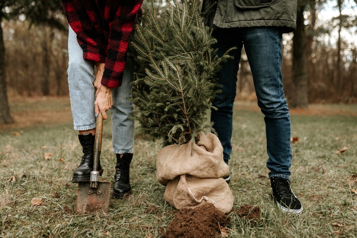 Ways to have a greener holiday season