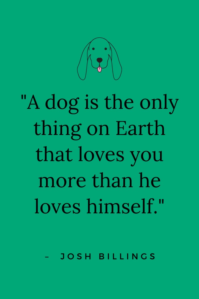 The 101 best dog quotes