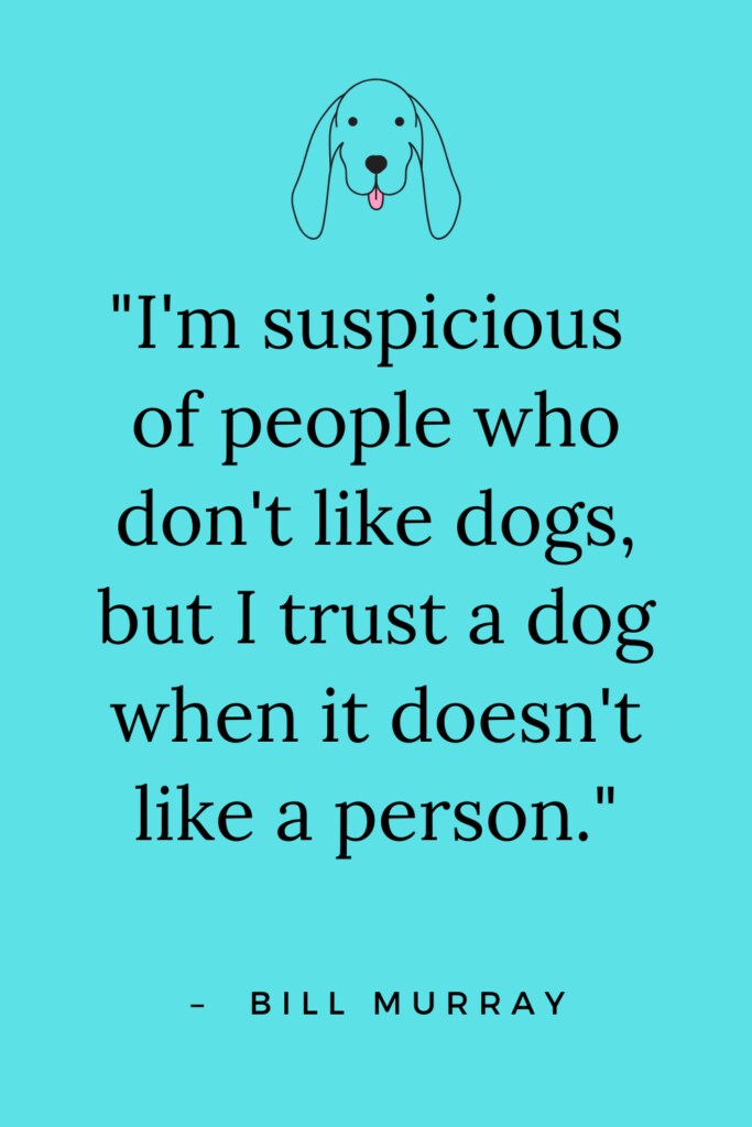 The 101 best dog quotes