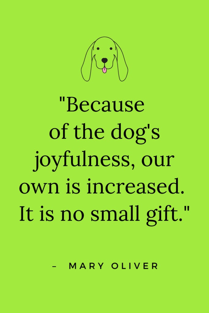The 101 best dog quotes
