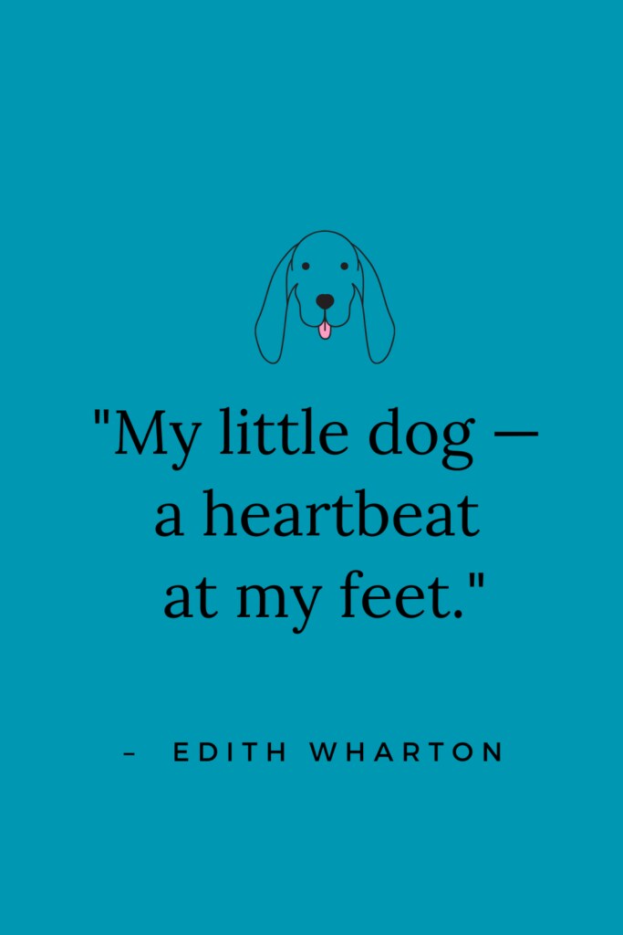 The 101 best dog quotes