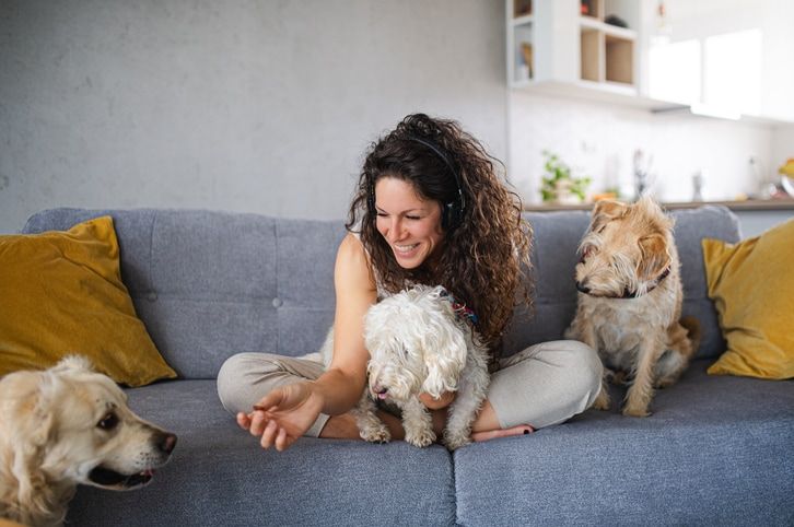 Overnight pet sitting: How to hire this type of care for your furry companion