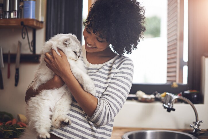 Pet sitting contract: Why you need one and what to include