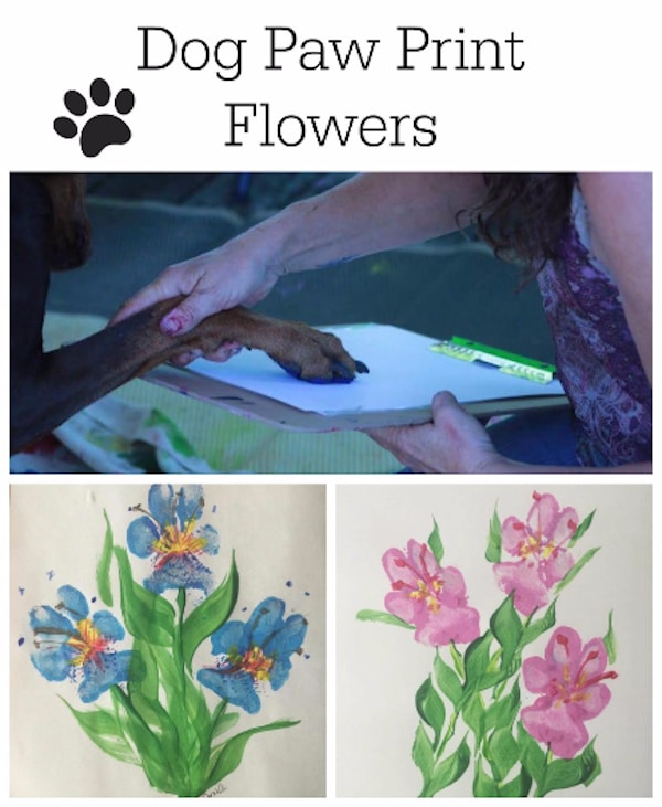 dog paw print flowers