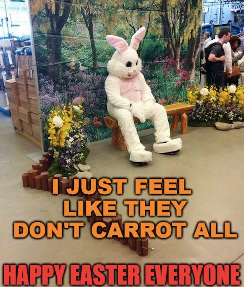 23 funny Easter memes to make you happy - Care.com Resources