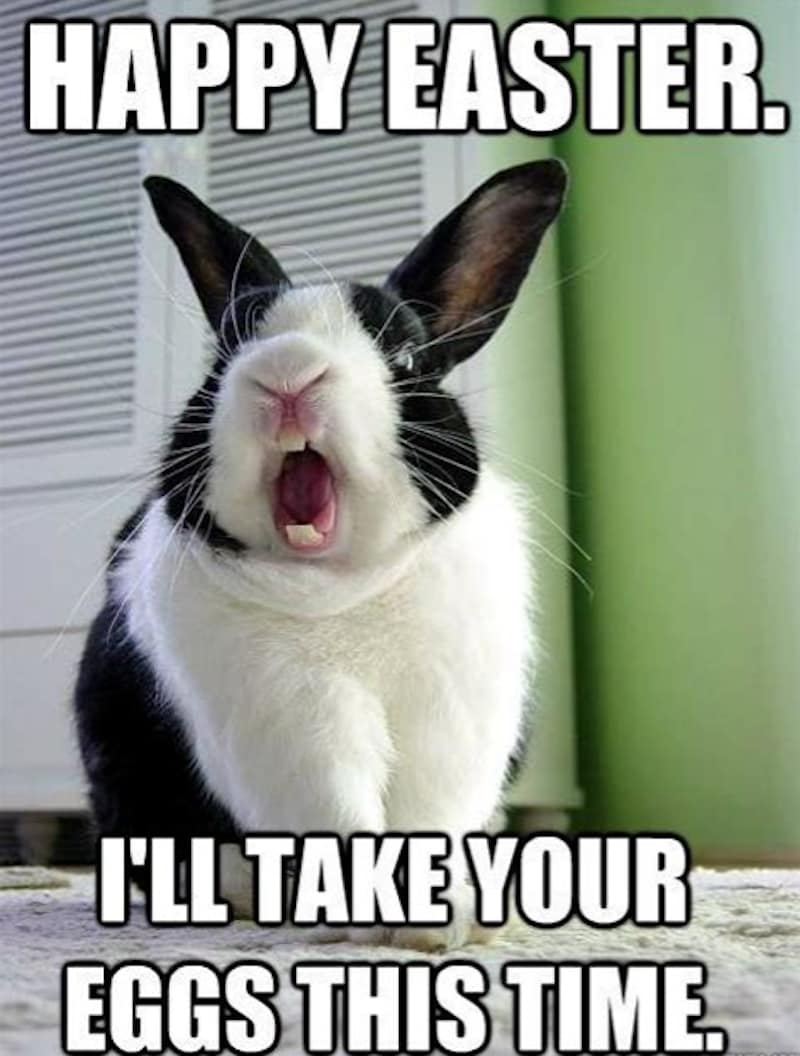 23 funny Easter memes to make you happy - Care.com Resources