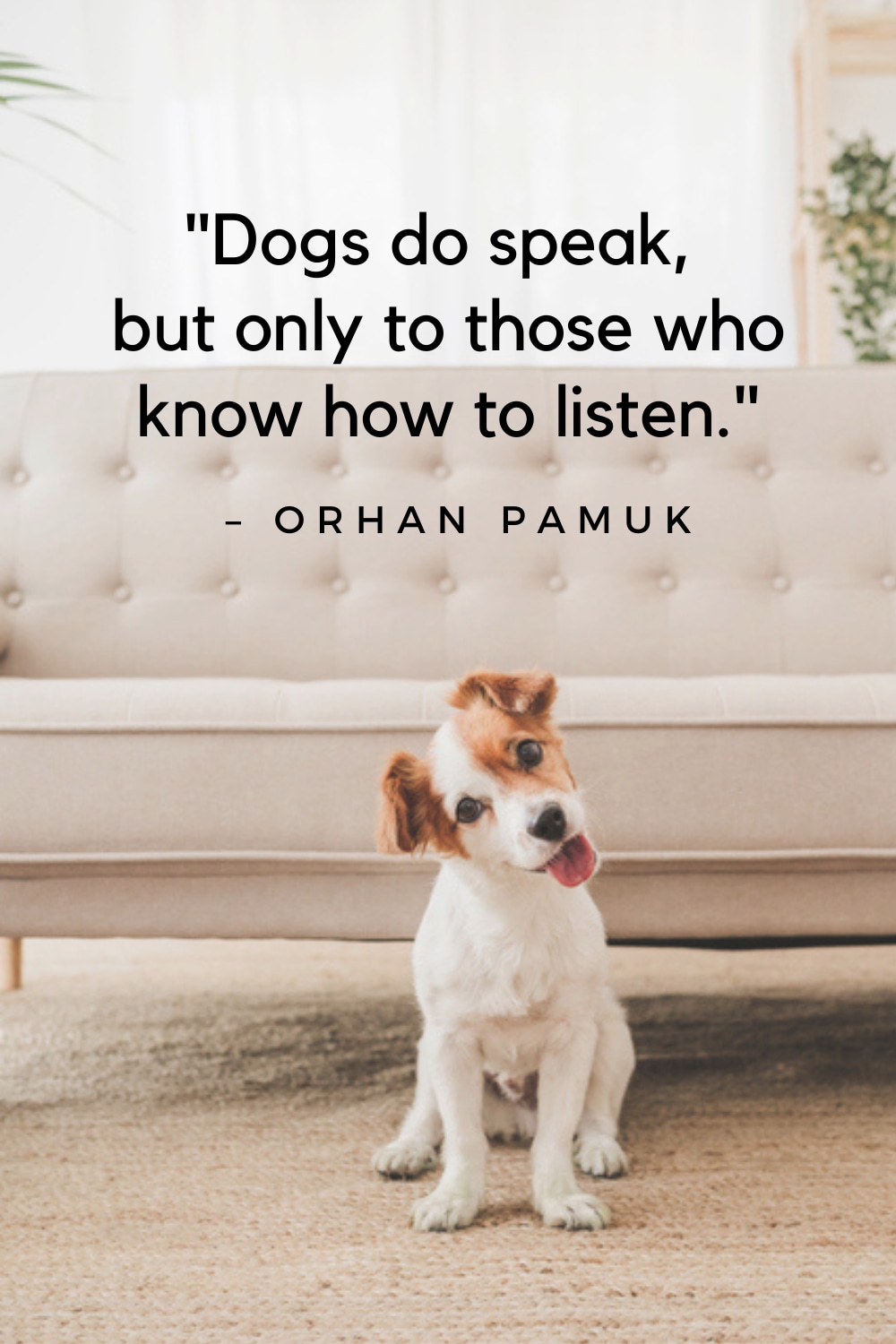 Best dog quotes