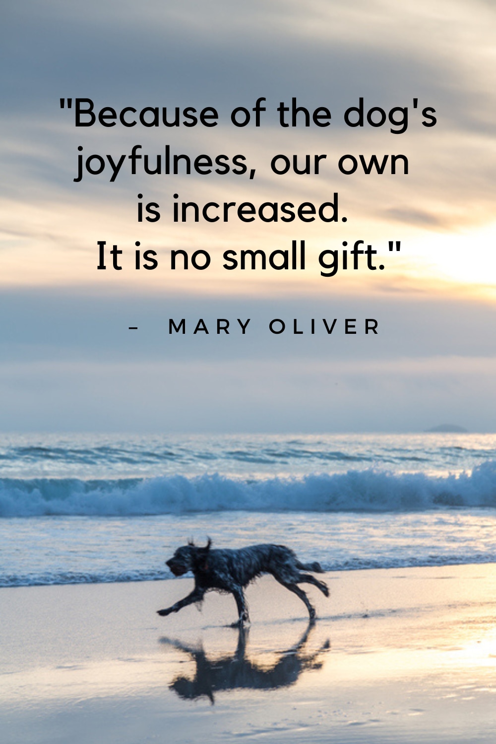 Quotes on dogs