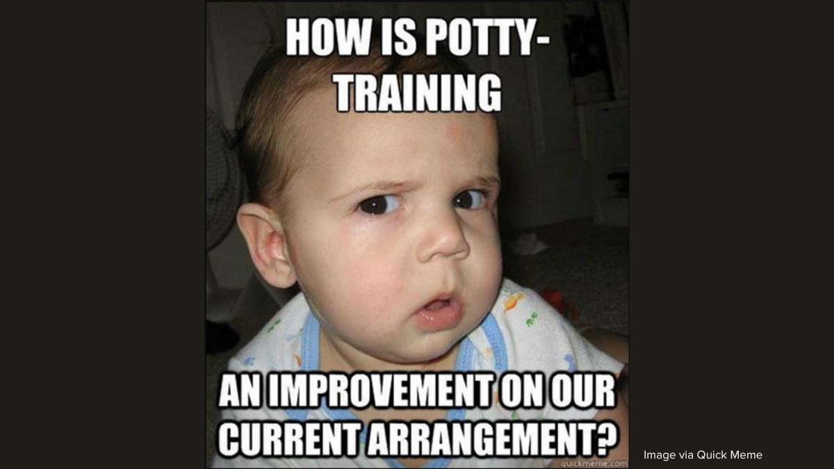 18 potty-training memes that are as real as it gets